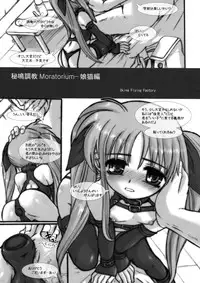 (C78) [Marchen Box] Nano Para 8 (Mahou Shoujo Lyrical Nanoha)