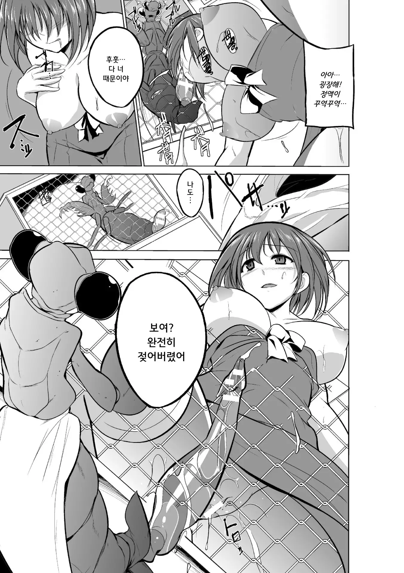 Mushi Asobi | 벌레유희