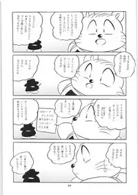 C-COMPANY SPECIAL STAGE 17