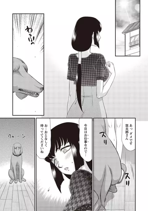 Yuukyuu no Toki Shinsouban