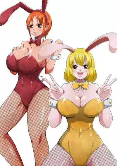 Bunny Service