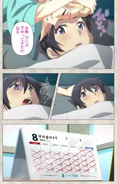 Ane Yome Quartet Kanzenban