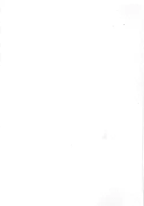 Kunkun Peropero Shabaora