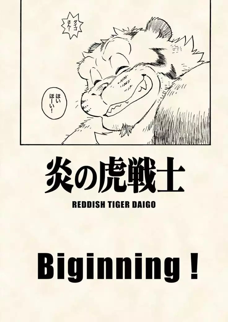 Flame Tiger Fighter - Birth Story -