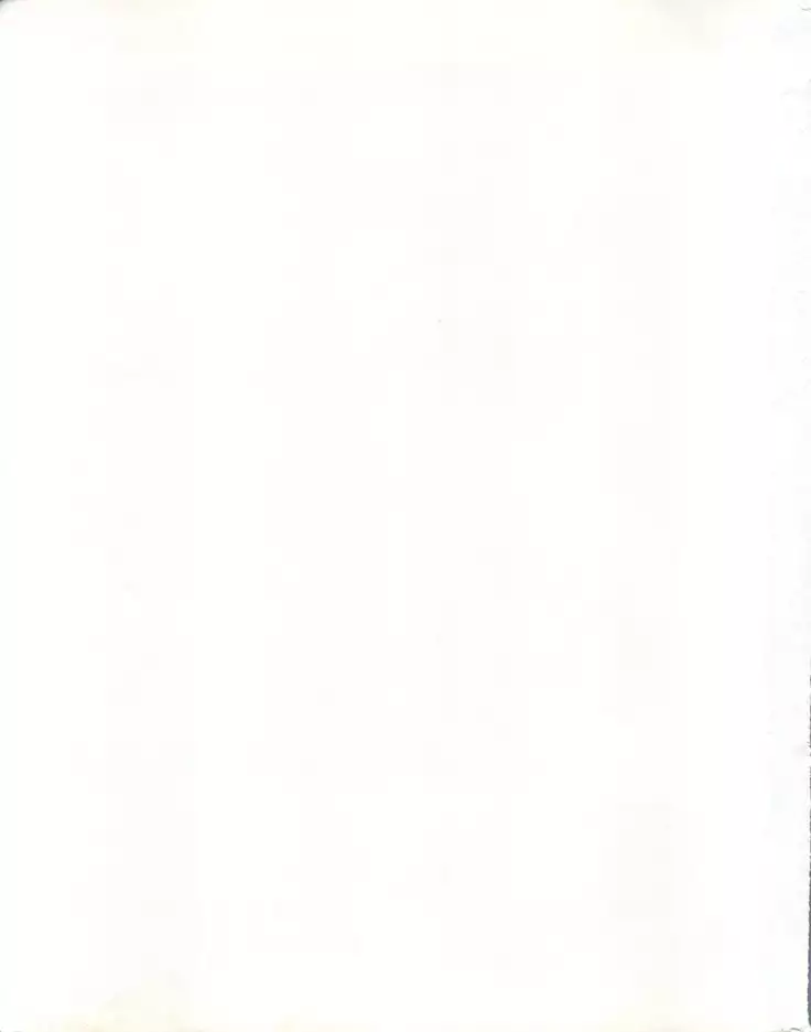 ORANGE GALLERY SAKATA SPECIALl