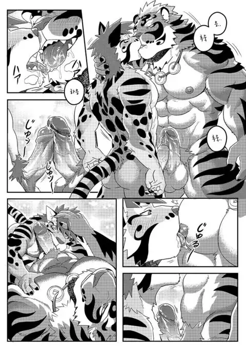 Nekojishi EXTRA | 네코지시 EXTRA