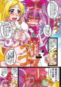 (C81) [Irekubadou (Poni., Andou Hiroyuki)] Irekubabon 1 (Suite Precure)