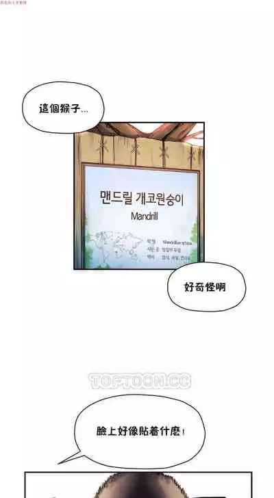 中文韩漫 初恋豚鼠 ch.1-10 [chinese]