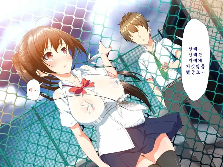 Inran Virus ~Seikoui wa Iryoukoui~ <팀 혼파망>