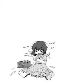 (C79) [IncluDe (Foolest)] ○○sanchi no Shirousagi | OO's White Rabbit (Touhou Project) [English] [U MAD]