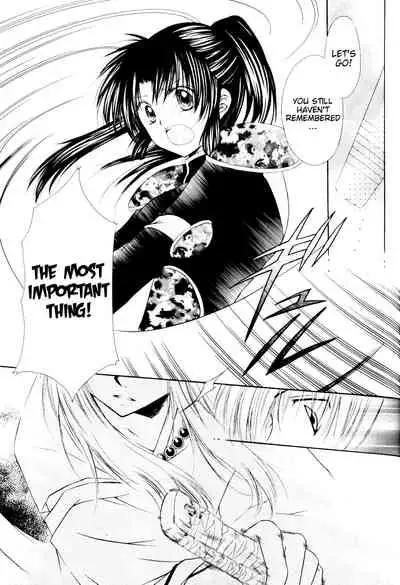 (C70) [Sakurakan (Seriou Sakura)] Ryuusei Ryodan | Falling Star Brigade (Inuyasha) [English] [EHCove + WataTL]