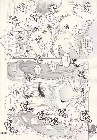 MOGITATE FRUIT PARADISE