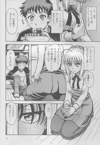 (C69) [TEYAN-DAY (Ohkaneda Hirota, Hagane Tetsu)] Gekkan Mapodon 1 Gatsugou (Fate/stay night)