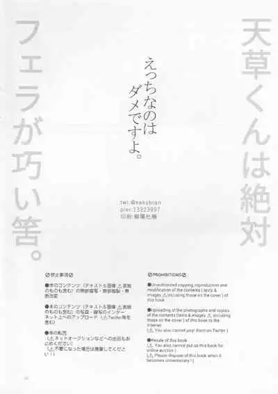 Ecchina no wa Damedesuyo.