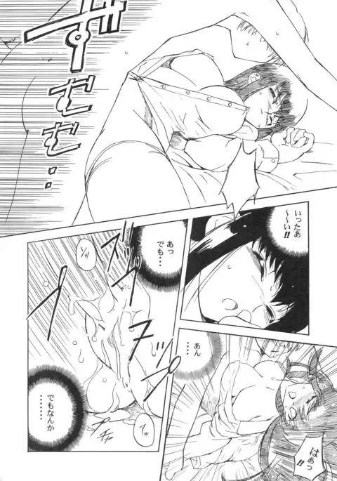 Hohhe!! Dan no Hon vol.2