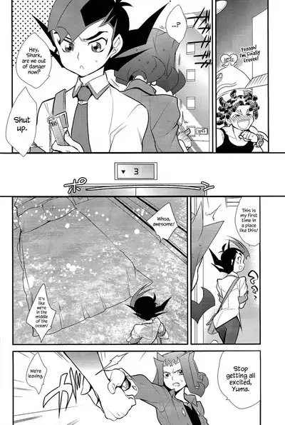 Little Pony Tragic Shark