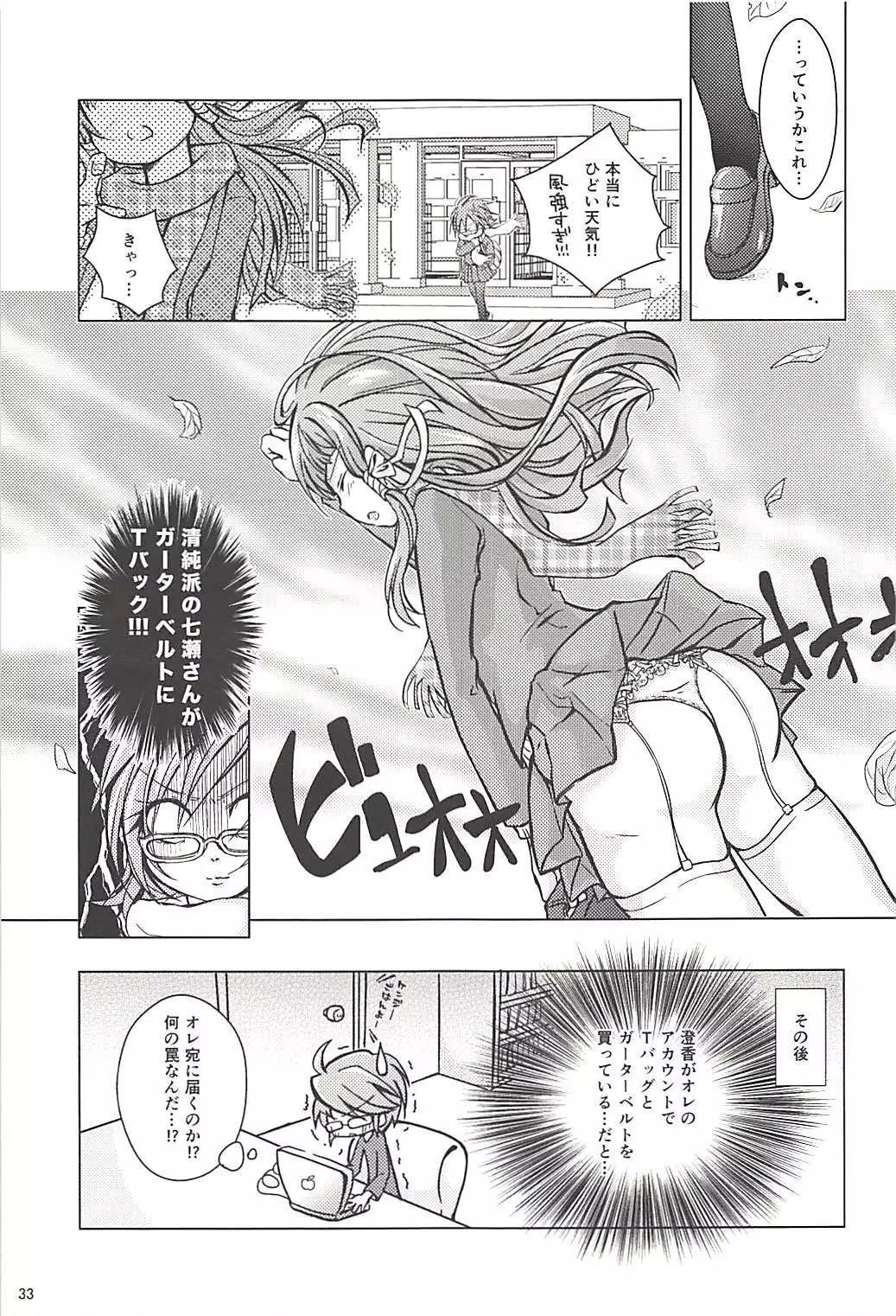 Pawaplus H 2013 Fuyu