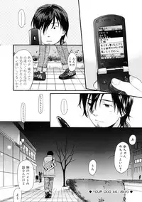 [Sekiya Asami] YOUR DOG