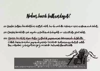 The work of the Insect Detective