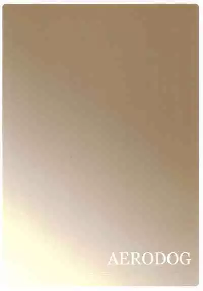 Straylight エンコーごっこ