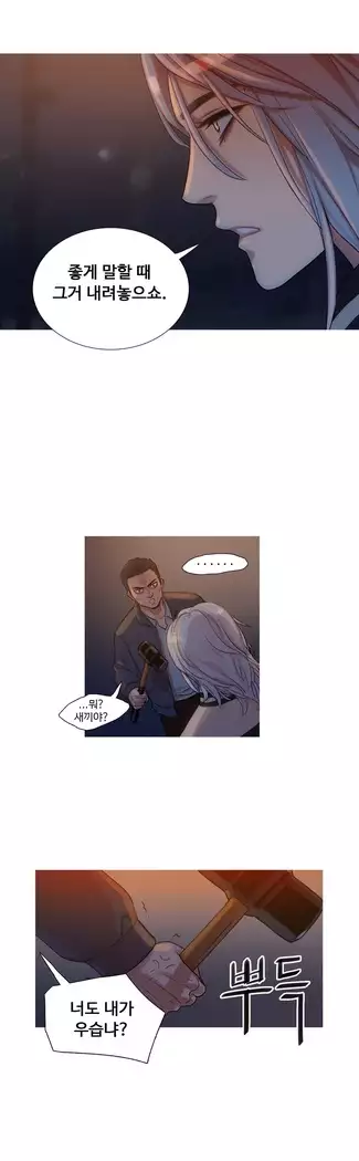 Scandal of the Witch Ch.0-28