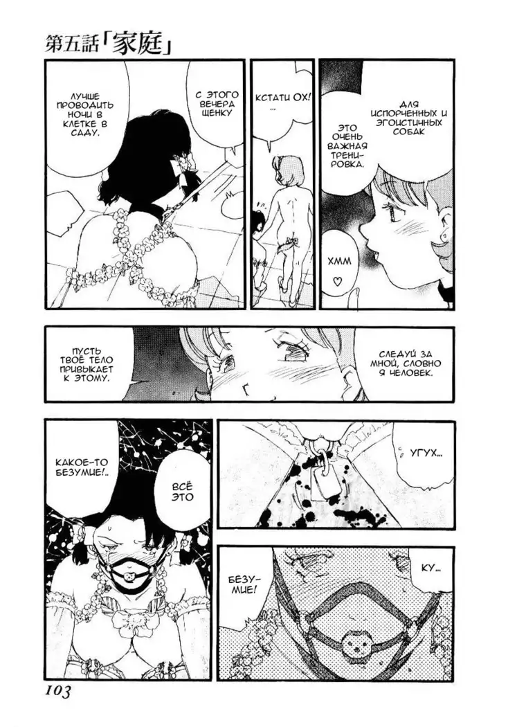 Volunteer Breeding Ch.5