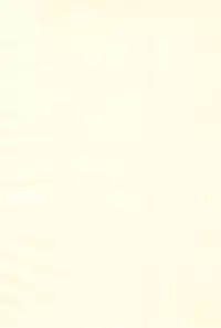 (iDOLPROJECT 4) [STUDIO FATALITY (Yanagie)] Let it Roll (THE iDOLM@STER)