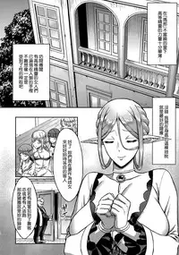 (C93) [H.B.A (Usagi Nagomu)] Koukon no Shou Elf [Chinese] [無邪気漢化組]