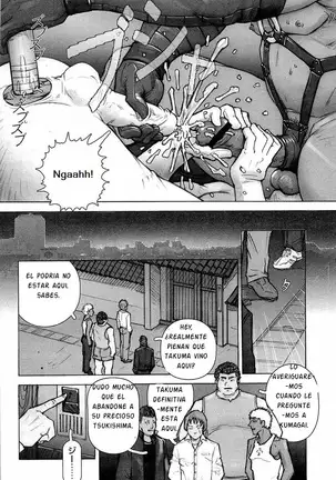 Kai Makoto Training Dog