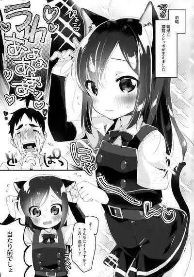 Nyasashio Hajimemashita