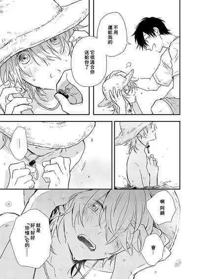 Shiokaze Mellow | 海风轻柔