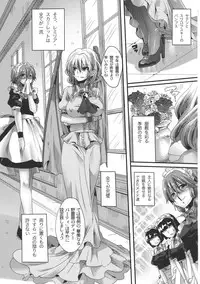 (C79) [DOUMOU (doumou)] Otonaka Fla-Remi Hon (Touhou Project)