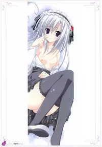 [Rabbit] habit net chronicles 2nd volume