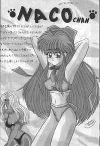 [Studio V-Max] NakoNako (Samurai Spirits)