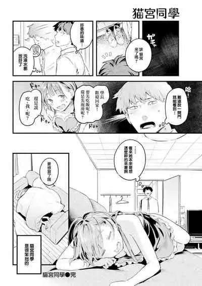 Neko Miya-san | 貓宮同學