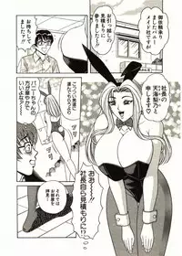 [Monota Rinu] Itoshi no Bunny Maid