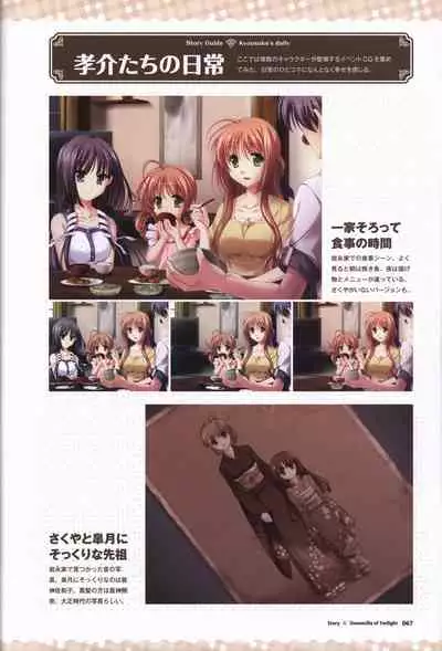 Tasogare no Sinsemilla Official Visual Fan book