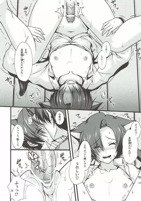 Happy Come Nyanko - happy come cat