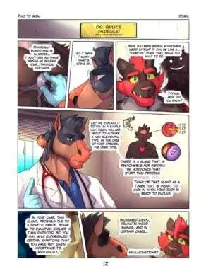 [Zourik] – Time to Grow