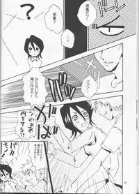 (C65) [Tax inn (Kisu Yoshimitsu)] FALLEN (Bleach)