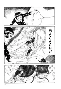 Rose Colored Monster