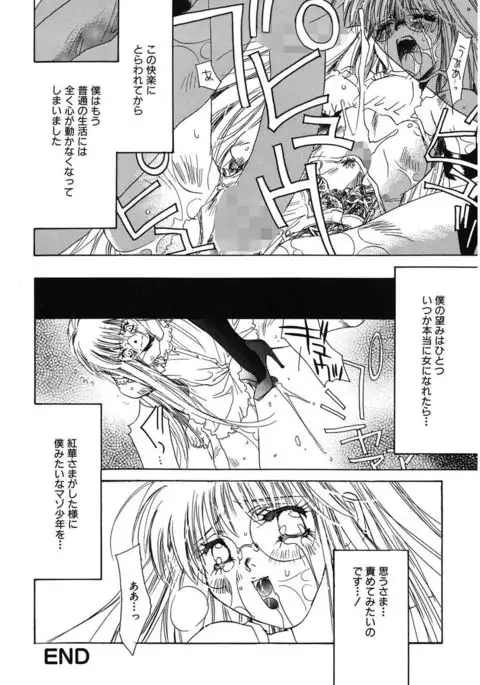 Ichigo Babaroa Neko Purin