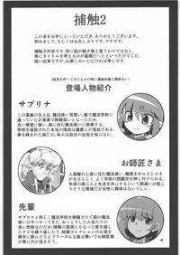 (C80) [Al Dente (Tsuna)] Hoshoku 2