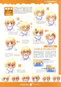 Tsunagaru Bangle - Visual Fan Book