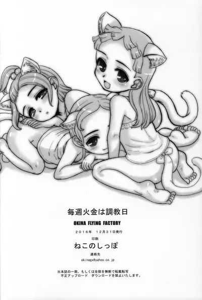 Maishuu KaKin wa Choukyoubi