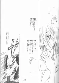 (C73) [Utsumuki Garden (Aotsuki Kakka)] Sputnik (Bleach)