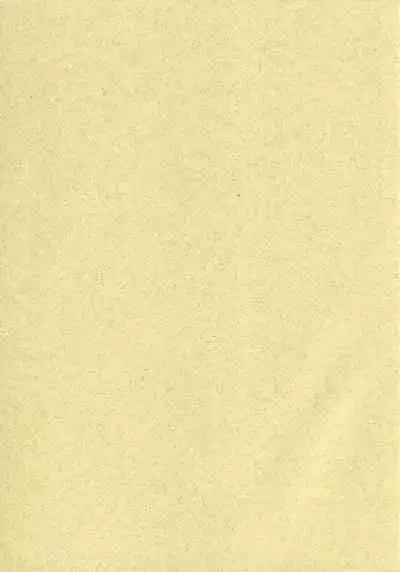 (C74) [Central (Sano Takashi)] Natsuyasumi