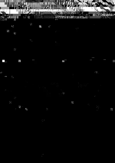 Dokidoki Mesu Ochi Gohoushi Challenge