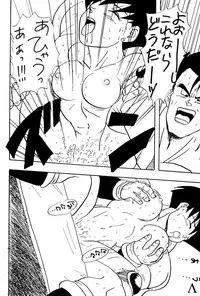 [Chirigami Goya / Fusuma Goten] Y (Dragonball)