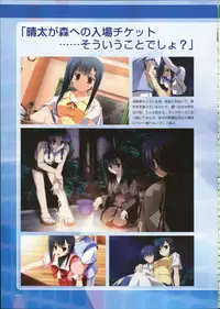 Primitive Link Visual Fanbook